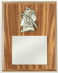 Plaque